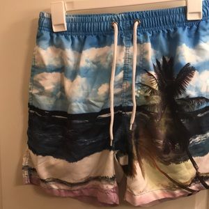 Island swimming trunks